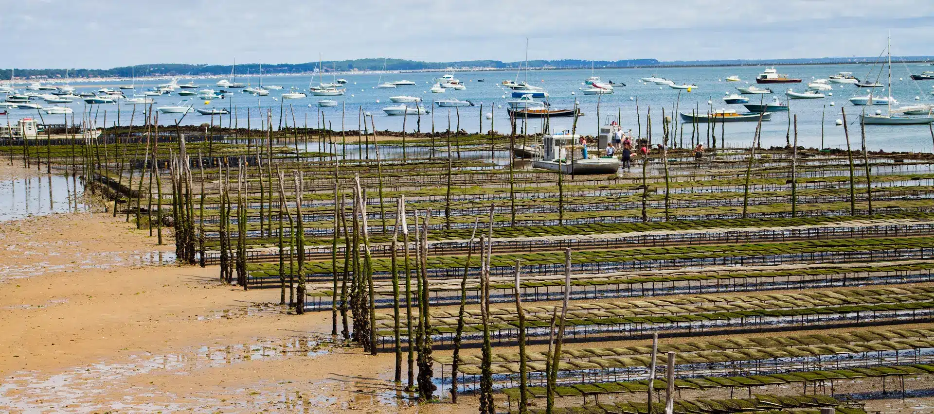 le cap ferret