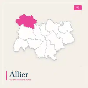 bolso de transporte allier 03