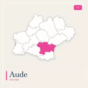 transport luggage aude 11