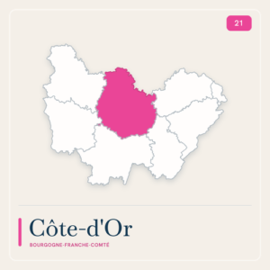 transport bagages cote dor 21