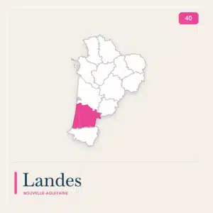 Transporttaschen landen 40