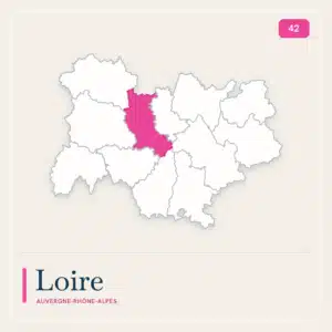 bolso de transporte loire 42