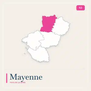 Sacchetto trasportatore bagagli mayenne 53