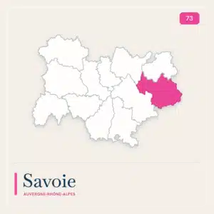 bolso de transporte savoie 73