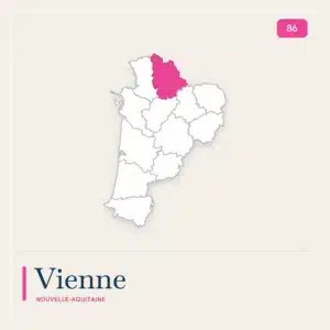 Transport von Gepäck kommt 86